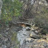 Barton Creek Greenbelt Trail, Texas - 1,383 Reviews, Map | AllTrails