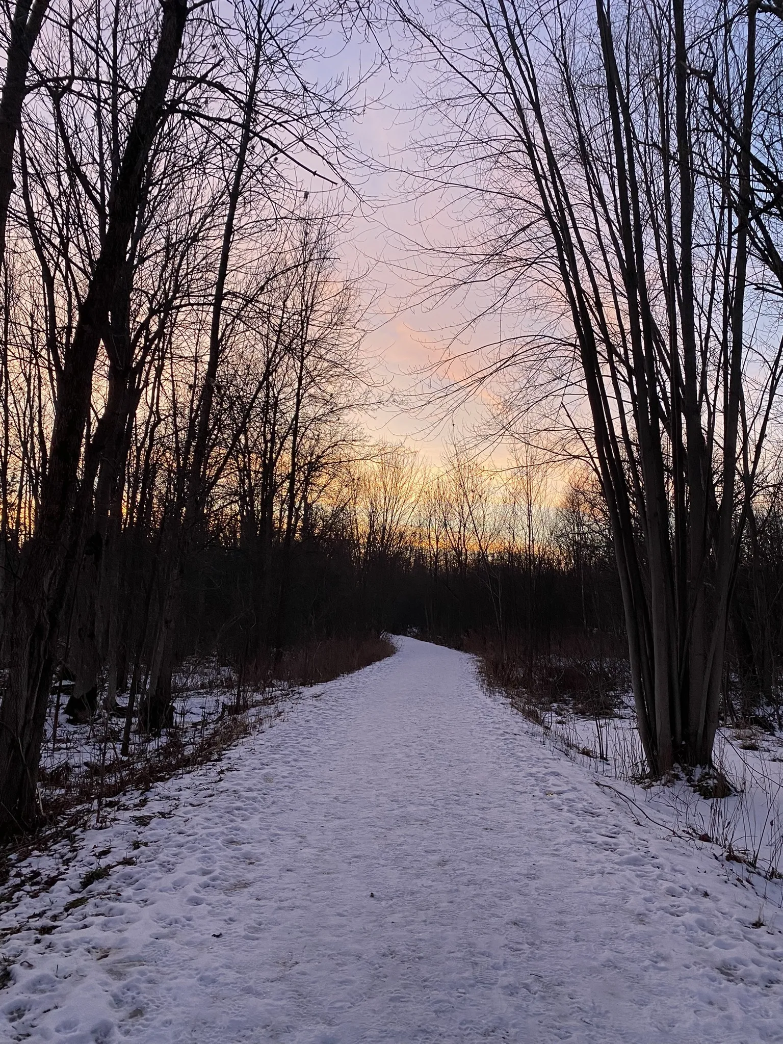 Photo of a trail from Jenna Meagher with title Cranberry Trail
