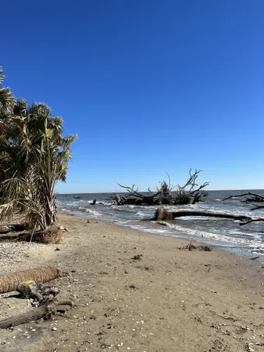 Best Hikes And Trails In Edisto Beach State Park Alltrails