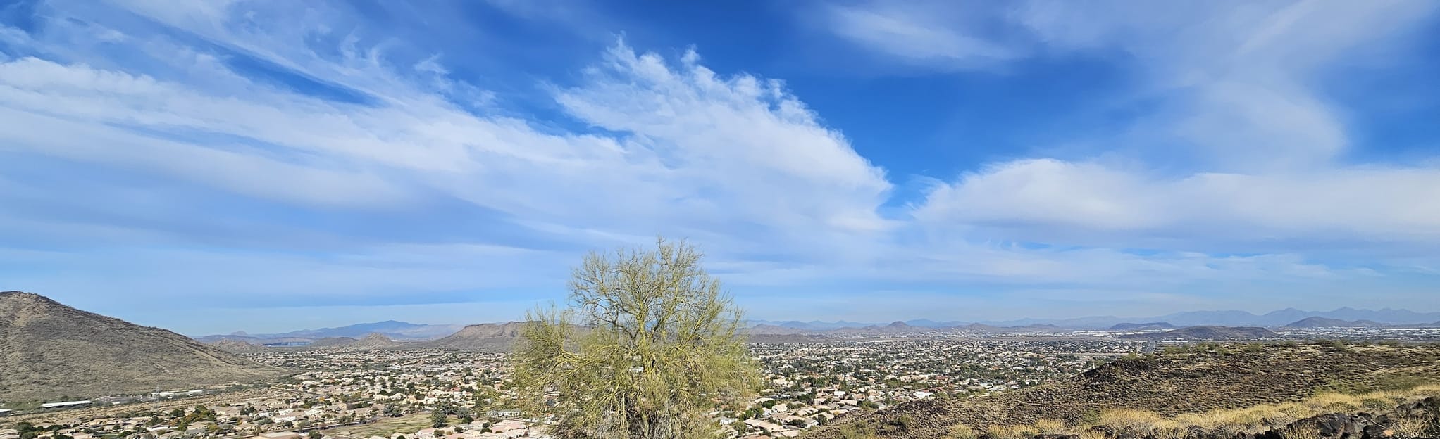 Thunderbird Park Three Peaks Loop Trail, Arizona 548 Reviews, Map