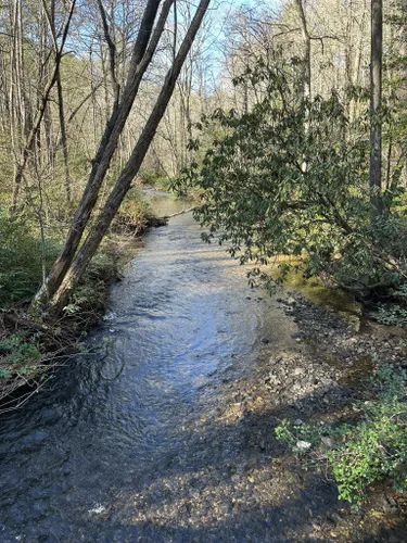 Best Hikes and Trails in Unicoi State Park | AllTrails