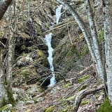 Dark Hollow Falls Trail Virginia - EyJidWNrZXQiOiJhc3NldHMuYWxsdHJhaWxzLmNvbSIsImtleSI6InVwbG9hZHMvcGhvdG8vaW1hZ2UvNjkzMzE2NTgvYzE3YTg4YWNkZmY3MTc2NjJmMWI0N2Y2NzU2NWNmZTkuanBnIiwiZWRpdHMiOnsidG9Gb3JtYXQiOiJqcGVnIiwicmVzaXplIjp7IndpZHRoIjoxNjAsImhlaWdodCI6MTYwLCJmaXQiOiJjb3ZlciJ9LCJyb3RhdGUiOm51bGwsImpwZWciOnsidHJlbGxpc1F1YW50aXNhdGlvbiI6dHJ1ZSwib3ZlcnNob290RGVyaW5naW5nIjp0cnVlLCJvcHRpbWlzZVNjYW5zIjp0cnVlLCJxdWFudGlzYXRpb25UYWJsZSI6M319fQ==