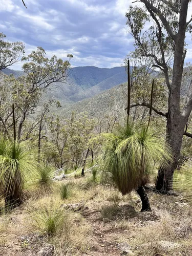 10 Best Hikes and Trails in Oxley Wild Rivers National Park AllTrails