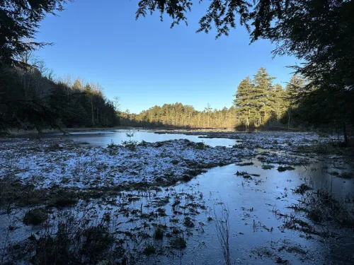 Best Hikes and Trails in Cooperstown | AllTrails