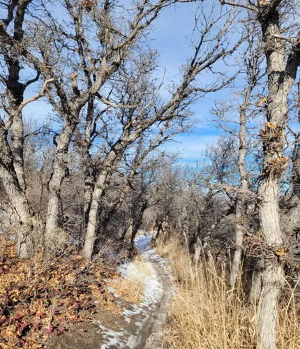 Best Hikes and Trails in Ridgeline Open Space | AllTrails