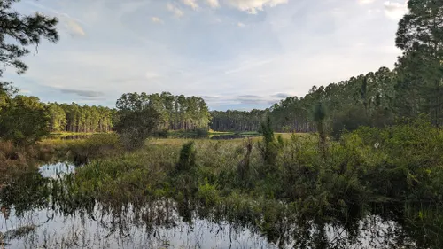 10 Best Trails and Hikes in Orlando | AllTrails