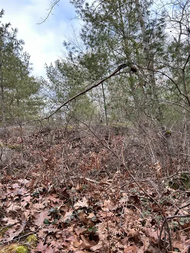 Best Hikes and Trails in Edwin L. Smith Preserve | AllTrails