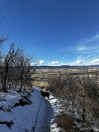 Best Hikes and Trails in Ridgeline Open Space | AllTrails