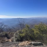 Blood Mountain via Byron Reece Trail, Georgia - 3,022 Reviews, Map ...