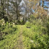 CREW Bird Rookery Swamp, Florida - 517 Reviews, Map | AllTrails