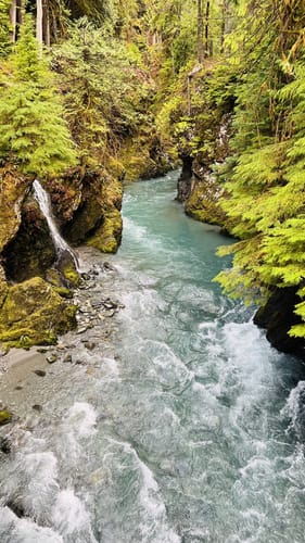 Pony bridge outlet olympic national park