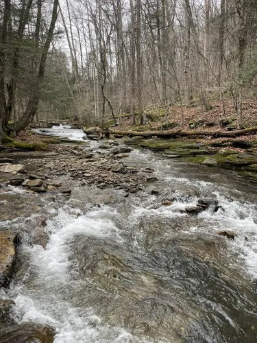 Best Hikes and Trails in Pennsylvania State Game Lands Number 13 ...