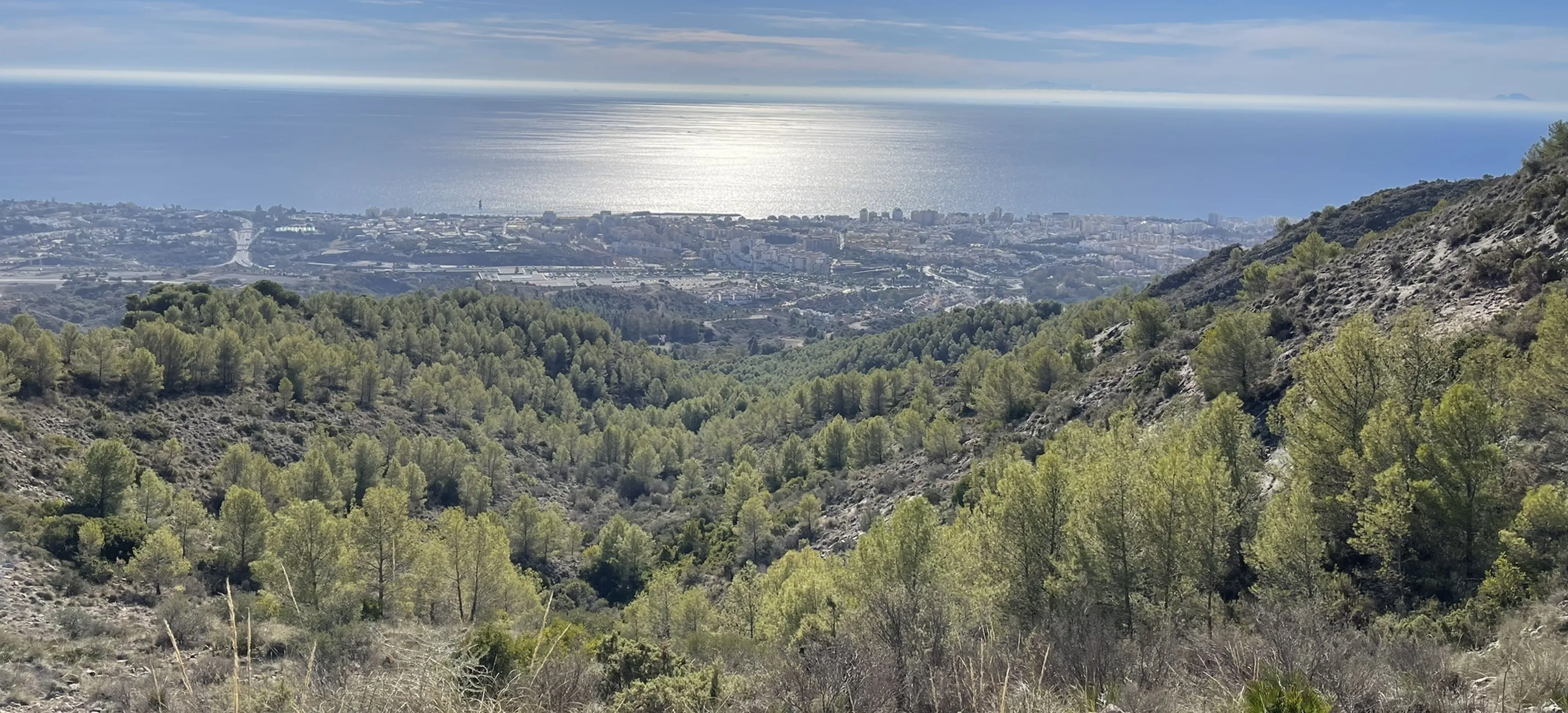 Pinar de Nagüeles - Mirador de Ojen