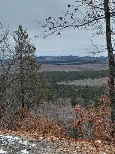 Black river state outlet forest hiking