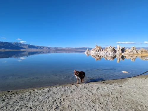 Mono Lake, Hiking, Bird Watching and Boating