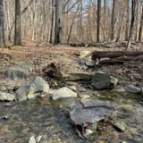 Double Rock Park Trail, Maryland - 915 Reviews, Map | AllTrails