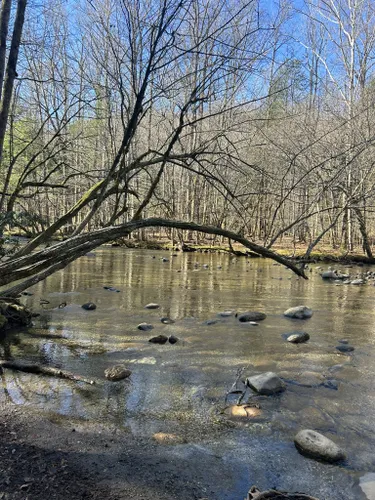 Best Dogs On Leash Trails in Great Smoky Mountains National Park ...