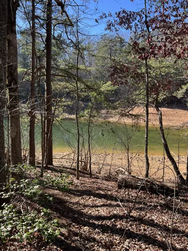 Best Hikes and Trails in Blue Ridge Lake Recreation Area | AllTrails