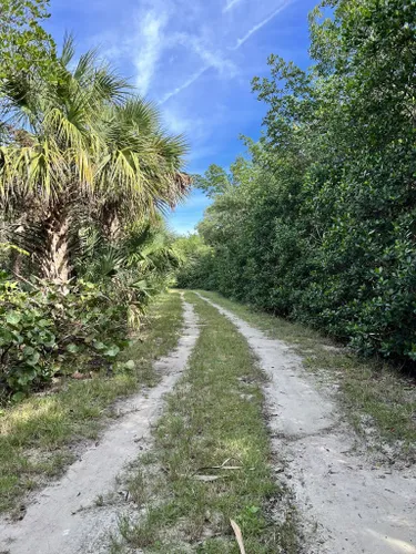 Best Hikes and Trails in Jacks Island State Park | AllTrails