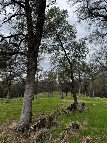 Best Walking Trails in Hidden Falls - EyJidWNrZXQiOiJhc3NldHMuYWxsdHJhaWxzLmNvbSIsImtleSI6InVwbG9hZHMvcGhvdG8vaW1hZ2UvNjkzODM1MzYvNDkyNzM1ZmUzM2Y2ODViNmVhZDFkMGU1ZGM2OWY0MmUuanBnIiwiZWRpdHMiOnsidG9Gb3JtYXQiOiJ3ZWJwIiwicmVzaXplIjp7IndpZHRoIjo1MDAsImhlaWdodCI6NTAwLCJmaXQiOiJpbnNpZGUifSwicm90YXRlIjpudWxsLCJqcGVnIjp7InRyZWxsaXNRdWFudGlzYXRpb24iOnRydWUsIm92ZXJzaG9vdERlcmluZ2luZyI6dHJ1ZSwib3B0aW1pc2VTY2FucyI6dHJ1ZSwicXVhbnRpc2F0aW9uVGFibGUiOjN9fX0=