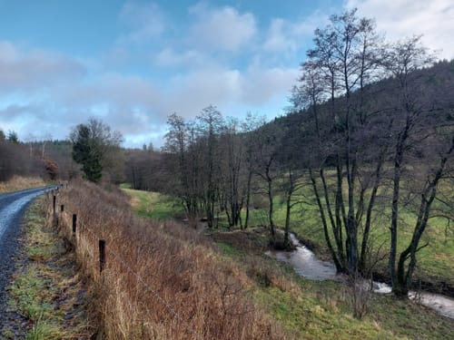 Wanderweg J3 Stausee, Fernblicke und Burgruine