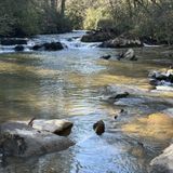 Turtletown Falls Trail, Tennessee - 1,005 Reviews, Map | AllTrails