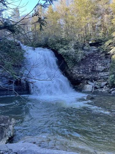 Best Hikes and Trails in Swallow Falls State Park AllTrails