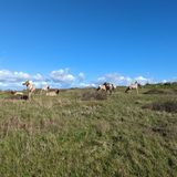 Tomales Point Trail, California - 6,256 Reviews, Map | AllTrails