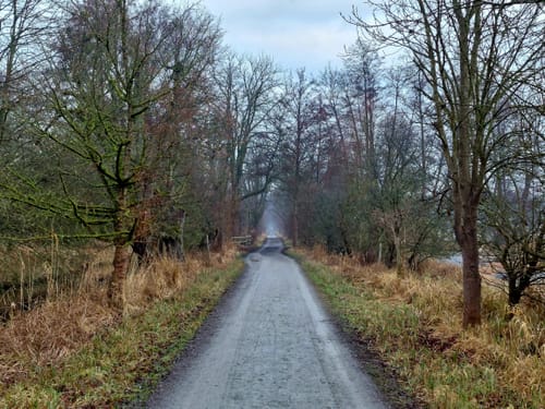 Naturschutzgebiet Mönchbruch ab Jagdschloss