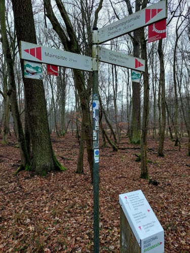 Naturschutzgebiet Mönchbruch ab Jagdschloss