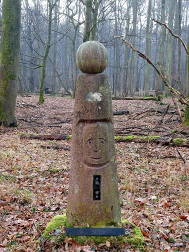 Naturschutzgebiet Mönchbruch ab Jagdschloss