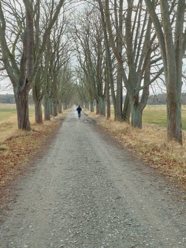 Naturschutzgebiet Mönchbruch ab Jagdschloss