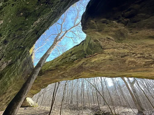 Best Hikes and Trails in Mantle Rock Preserve | AllTrails