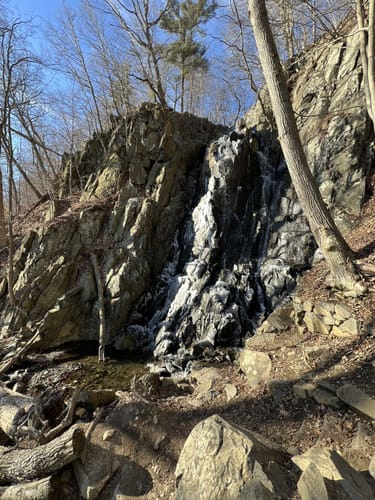 White shore and long path loop trail hotsell