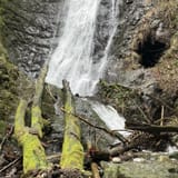 Explorer Falls, Washington - 684 Reviews, Map | AllTrails
