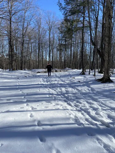 Best Hikes and Trails in Echo Lake Nature Preserve | AllTrails