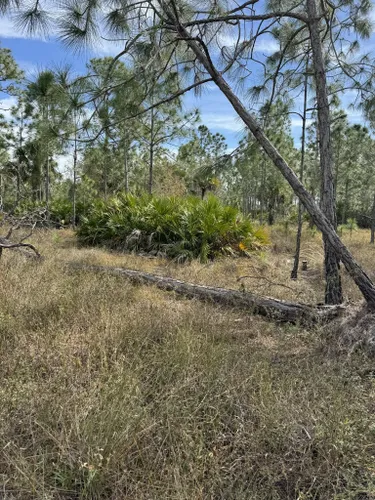 Best Hikes And Trails In Yellow Fever Creek Preserve Alltrails