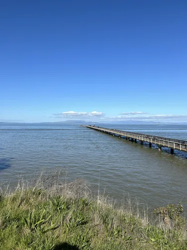 Best Stroller Friendly Trails in Point Pinole Regional Park | AllTrails