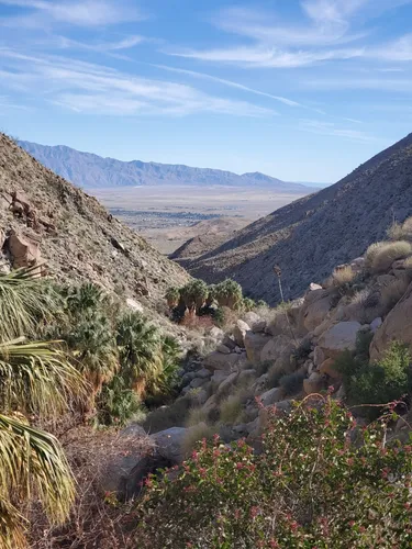 Best hikes 2025 in anza borrego