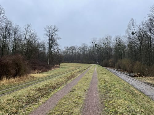 Um den Baggersee Sehring