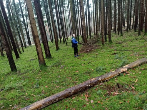 Rundwanderweg G1 Geiselwind