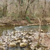 Lakeshore Trail (Homewood Shades Creek Greenway), Alabama - 571 Reviews ...