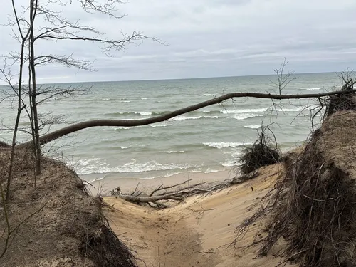 Best Hikes and Trails in North Point County Park | AllTrails