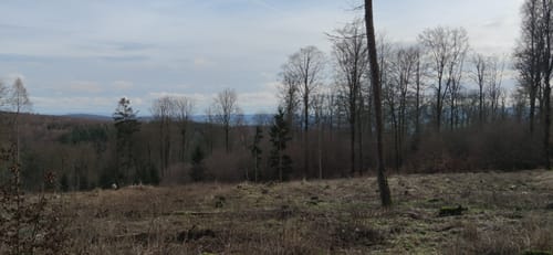 Grenzsteinpfad