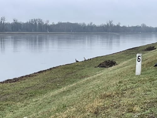 Um den Baggersee Sehring
