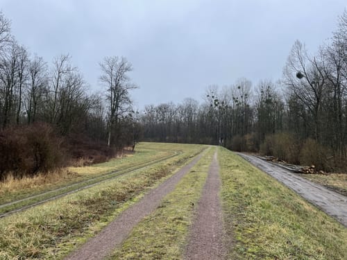 Um den Baggersee Sehring