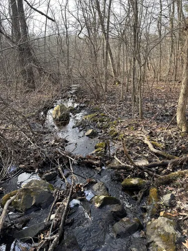 Best Hikes And Trails In Lost Pond Conservation Area 