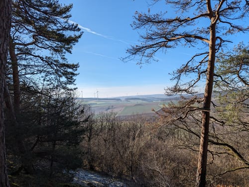 Eichelberg (Premiumwanderweg)