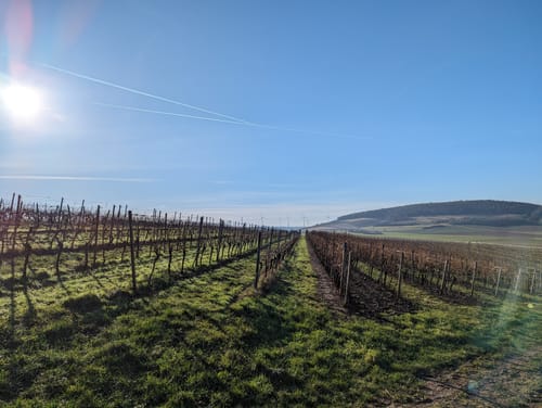 Eichelberg (Premiumwanderweg)