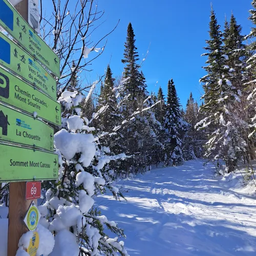 Best Off Road Driving Trails in SaintDonatdeMontcalm AllTrails